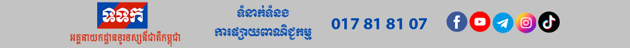 Banner Footer Fixed